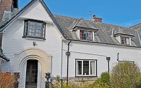 Ivy-W40854